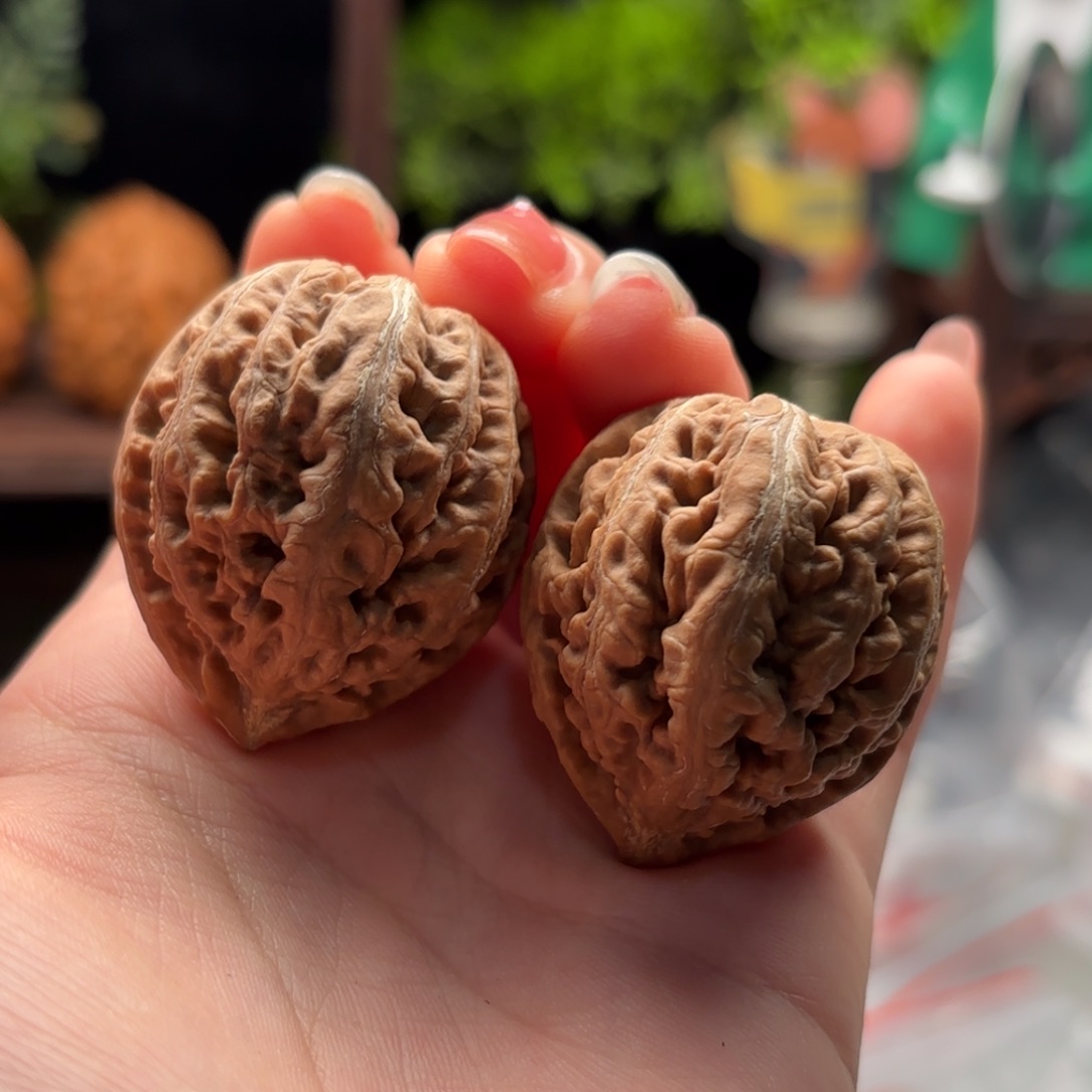 文玩核桃把件小楸千82