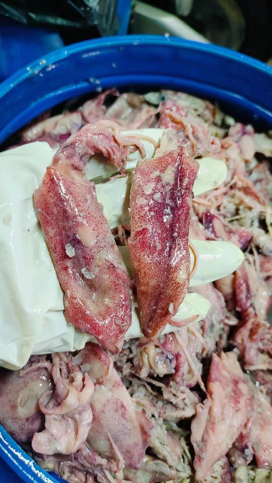 潮汕特产咸尼仔 咸鱿鱼 炒菜蒸菜 鲜甜可口