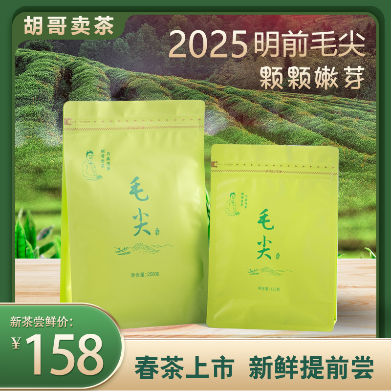 毛尖绿茶新茶明前高山嫩芽浓香耐泡型春茶叶