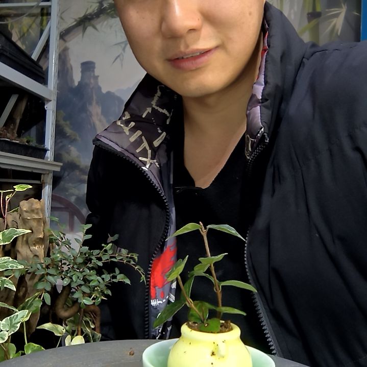 多****中青园艺一物一拍花8