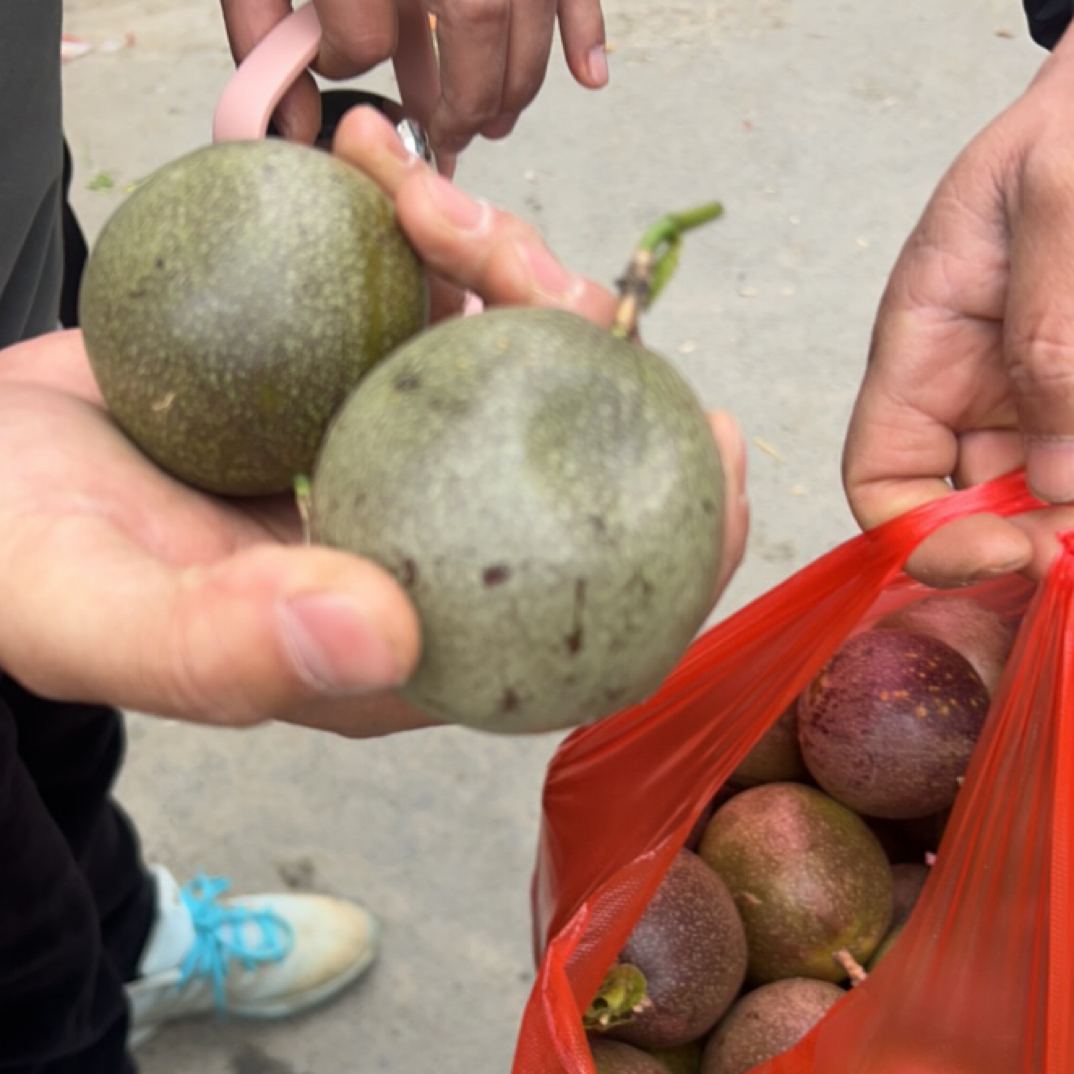 【各种蔬菜】.直播现场链接各种高山蔬菜