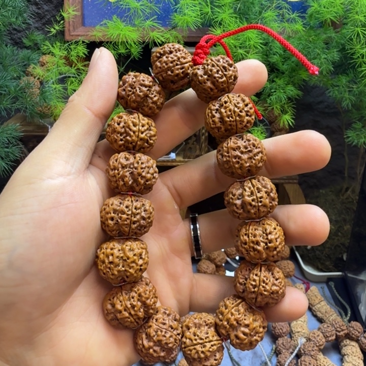 手串金刚菩提安娜龙源梅花直播间福利款