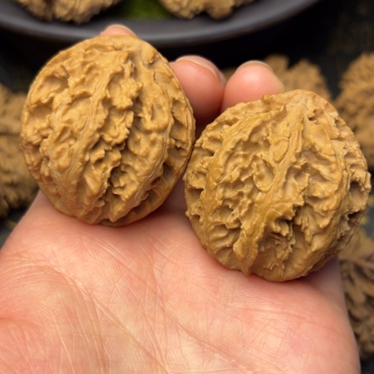 文玩核桃把件秦岭核桃2