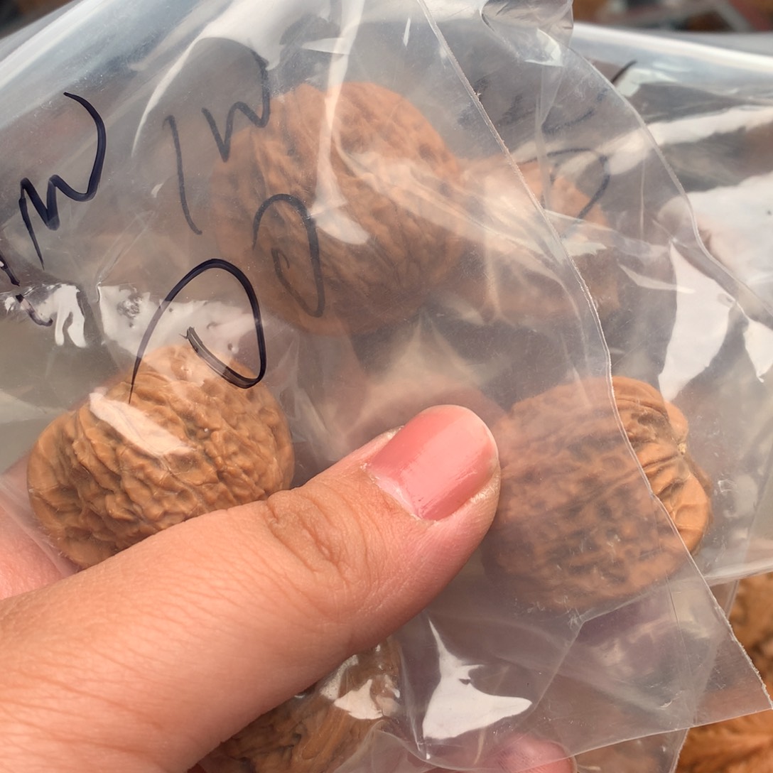 文玩核桃把件红心1w..............