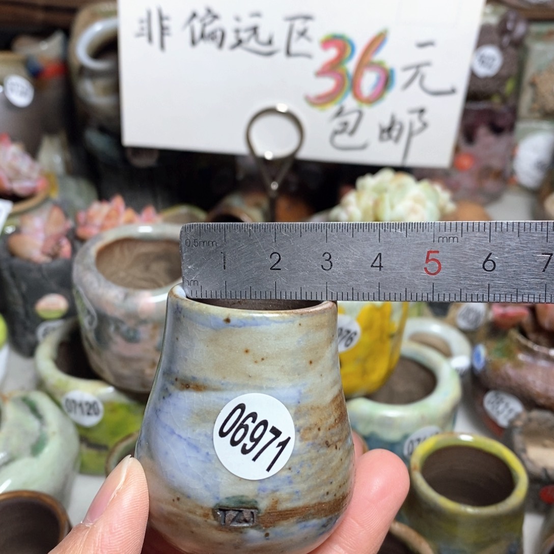 花盆拍5送一个小礼物