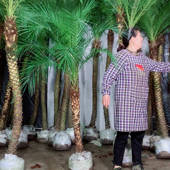 L***i无花朵1111111111