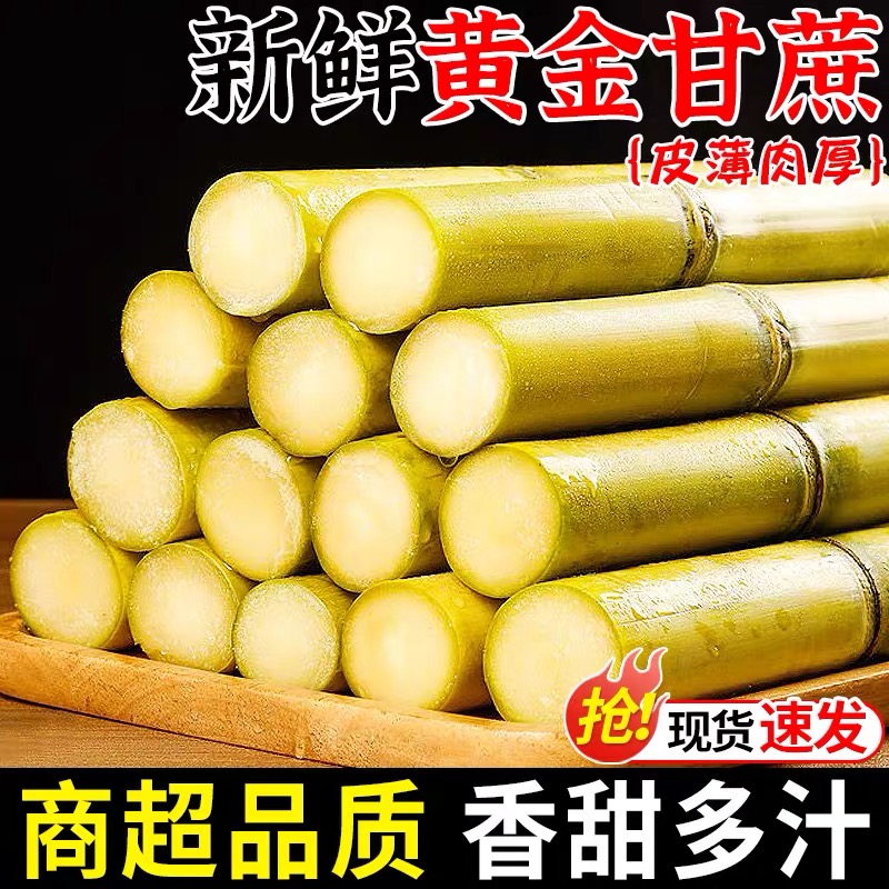 正宗云南黄金甘蔗清甜多汁黄皮新鲜水果当季现砍孕妇水果
