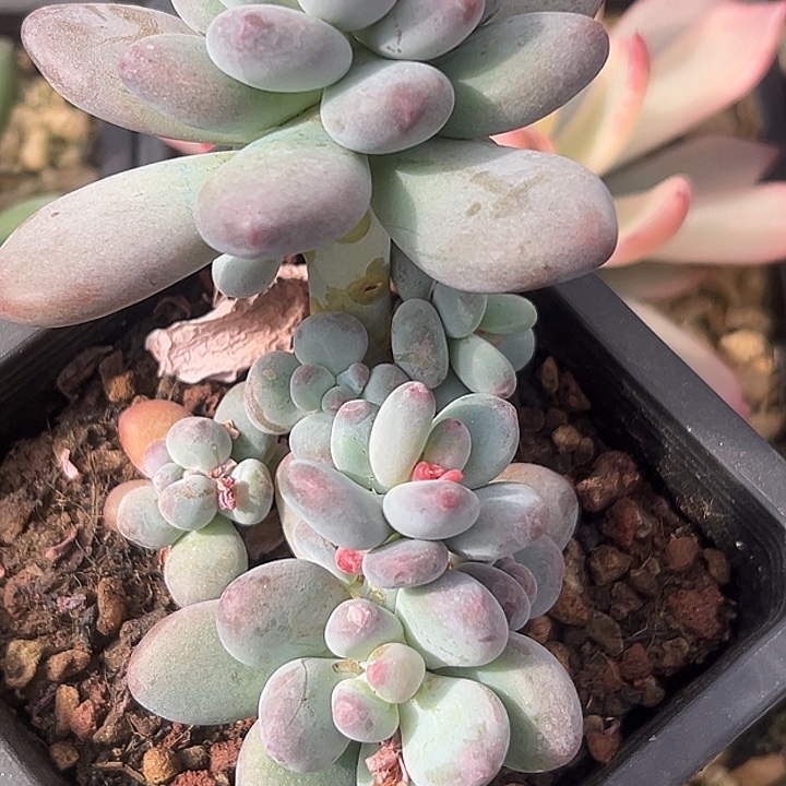 美人群特价福利美人