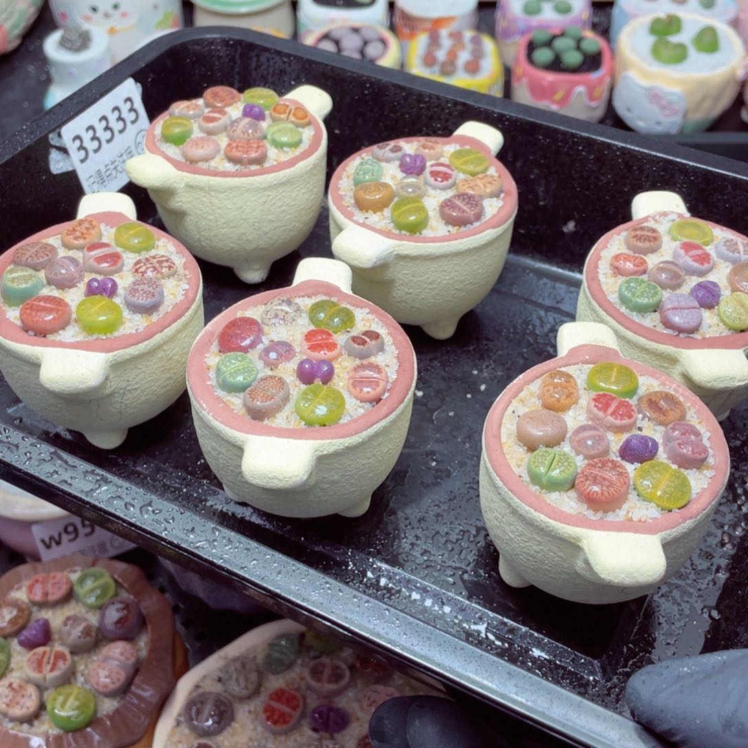 w3333-圆锅锅速干，一份一盆量拍