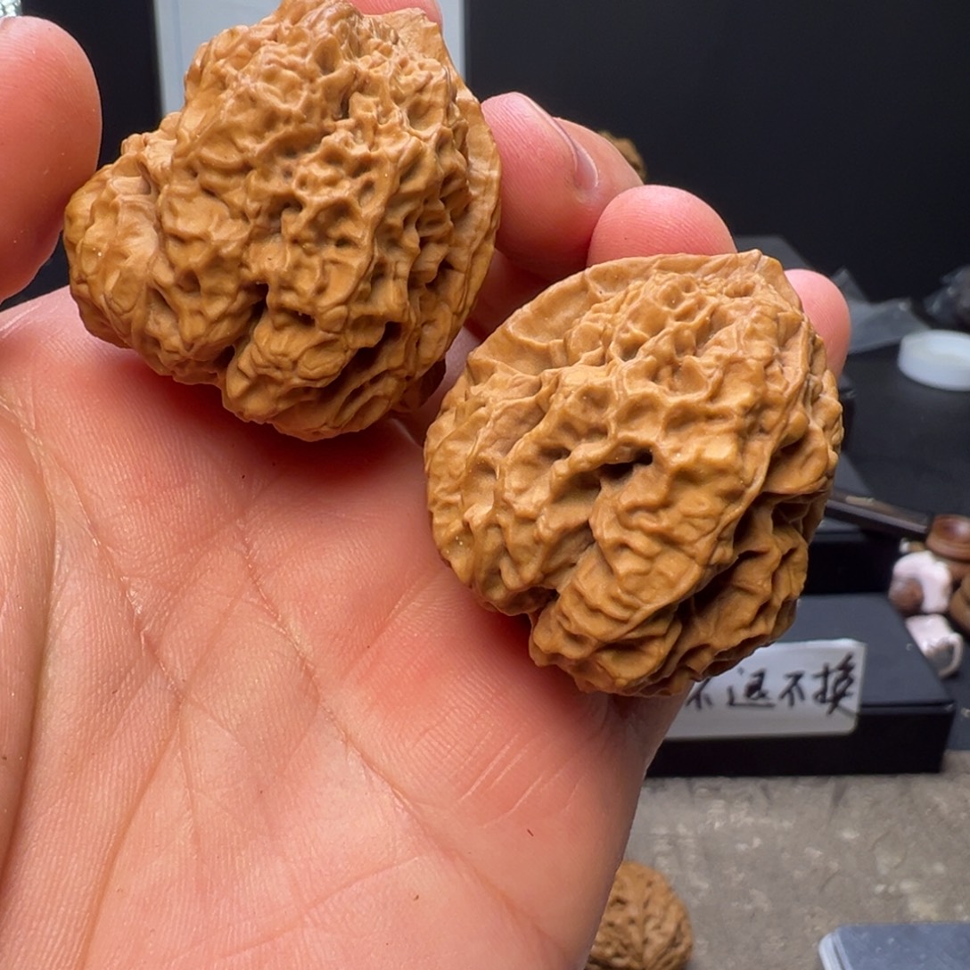 文玩核桃吊坠龙纹古蟾41mm