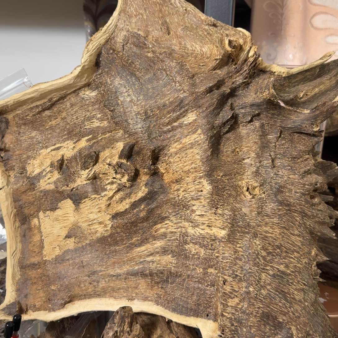 施***雨沉香沉香碎屑香港树头结香150克