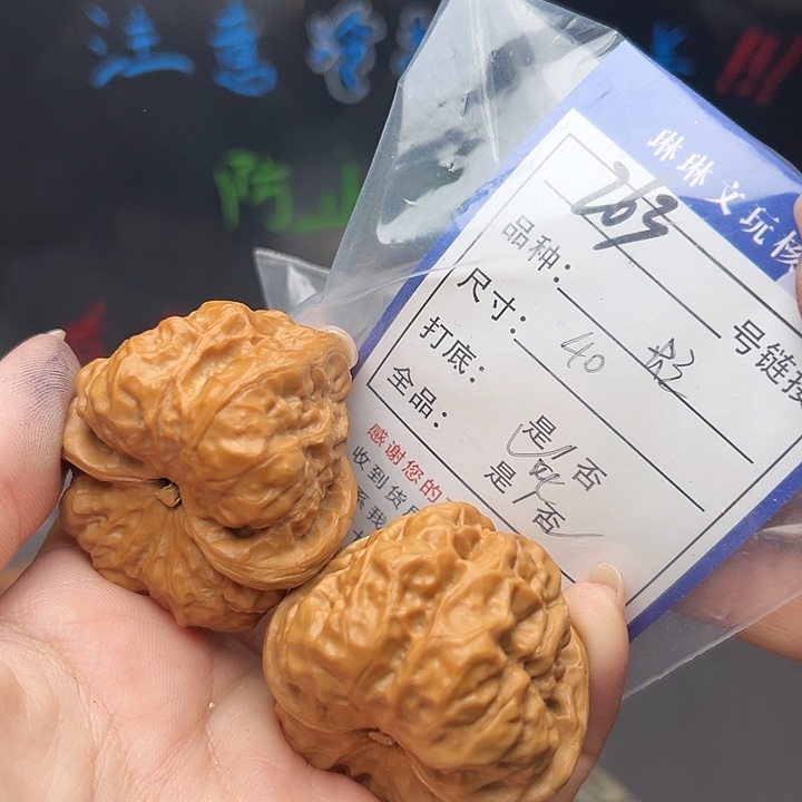文玩核桃吊坠核桃树263