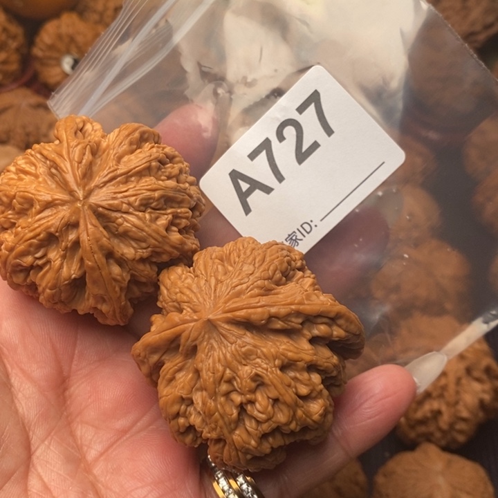 文玩核桃把件粗筋48尺727号