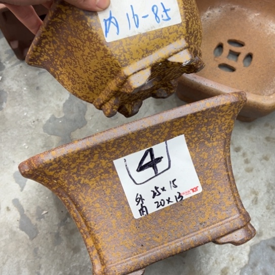 紫***龍紫砂花盆漂亮呀漂亮