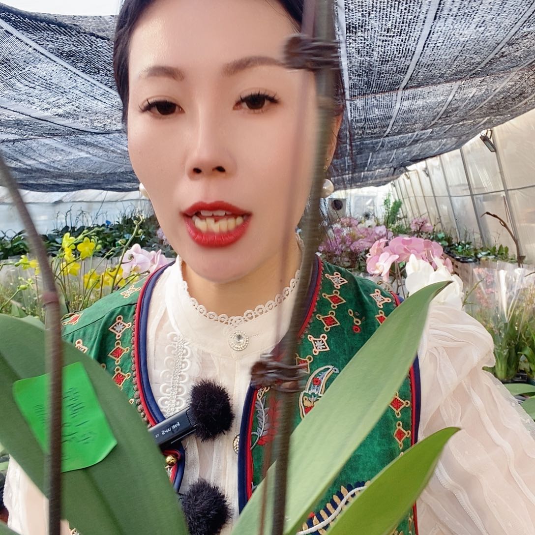 无花朵金玉满堂蝴蝶兰