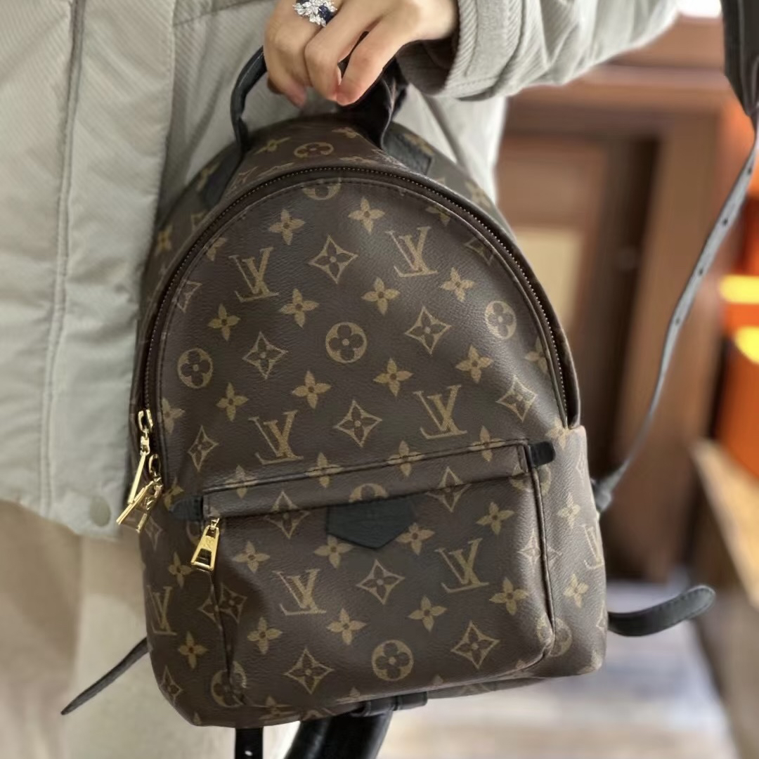 95新 LouisVuitton/路易威登 LV双肩包972473