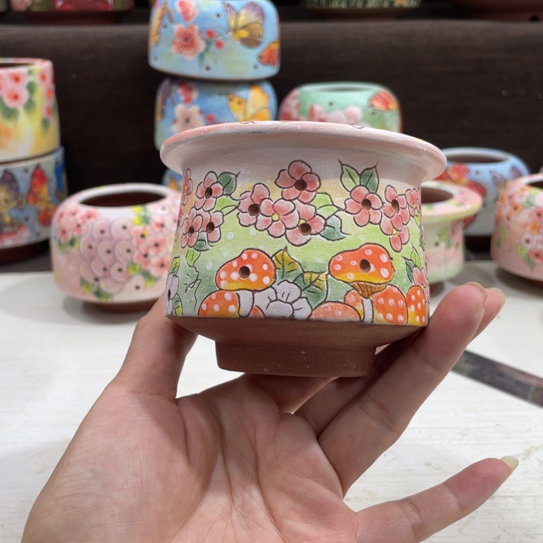 ?****.多肉花盆小盆补差价