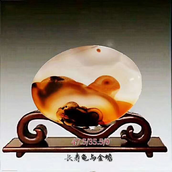 精品奇石海玉乌龟金蝉