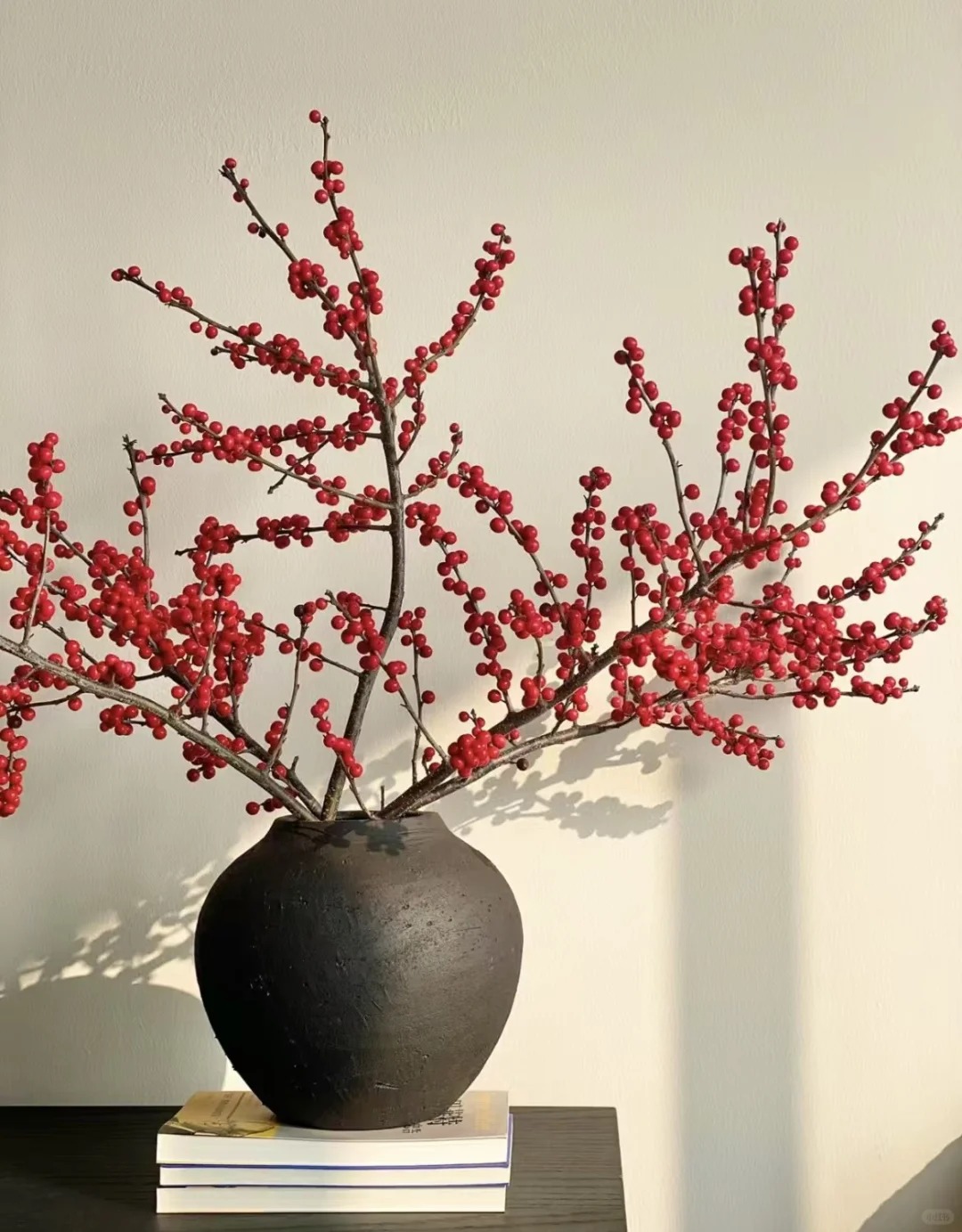 天物北美冬青年宵花【花材两单以上京东空运包邮】云南鲜花源头直发