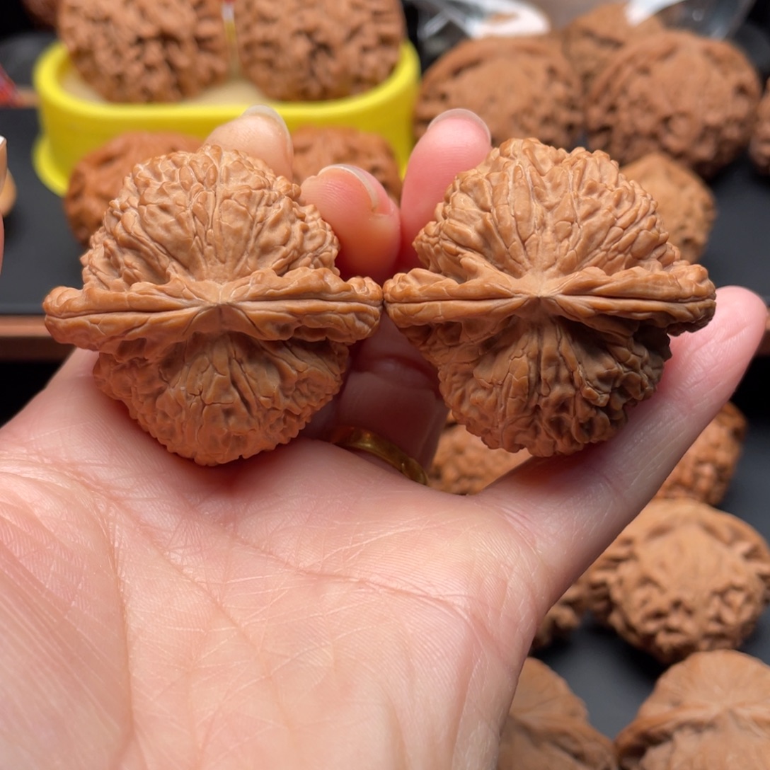 文玩核桃把件白狮子43