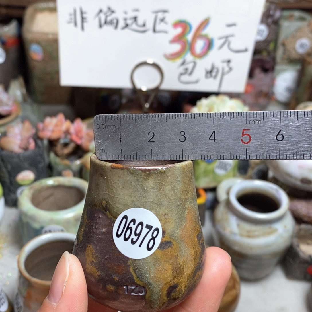 花盆拍5送一个小礼物