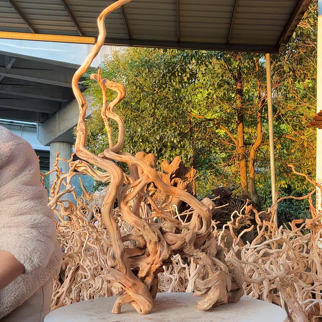 『***C木我是一只小小鸟地域