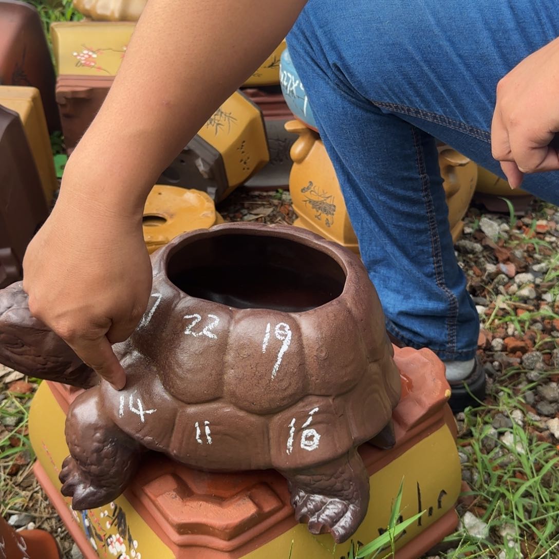 紫砂花盆紫砂花盆花盆盆景盆栽