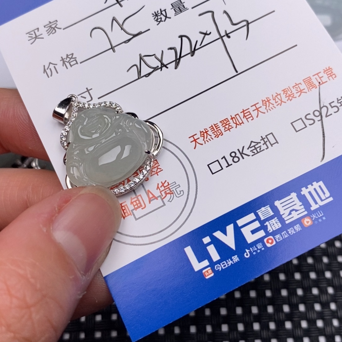 楊***姐翡翠银S925镶嵌颈饰
