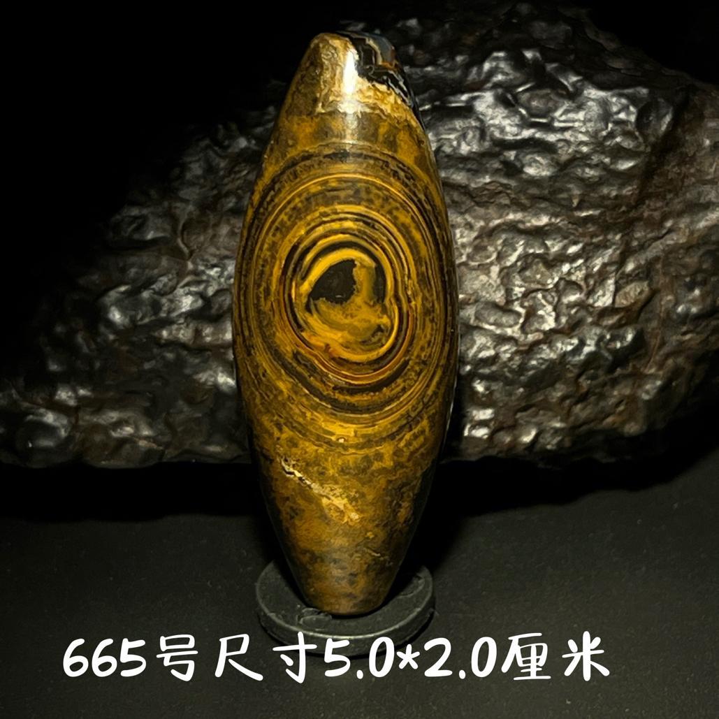 蒙天珠天然收藏级九眼石页岩钱币石眼睛石四子王旗真品665