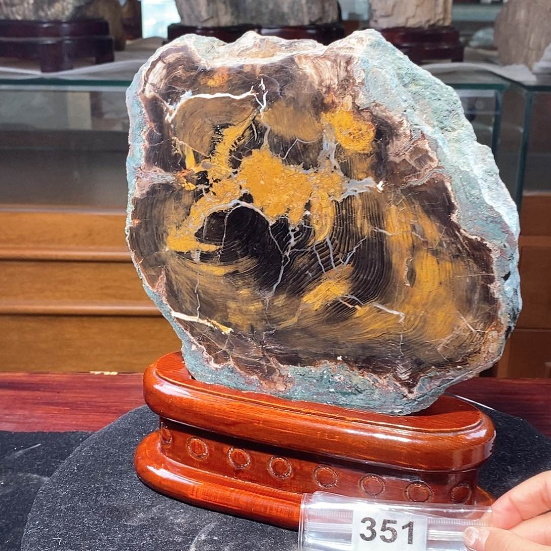 硅化玉天然北票硅化玉原石未镶嵌天然北票硅化玉原石