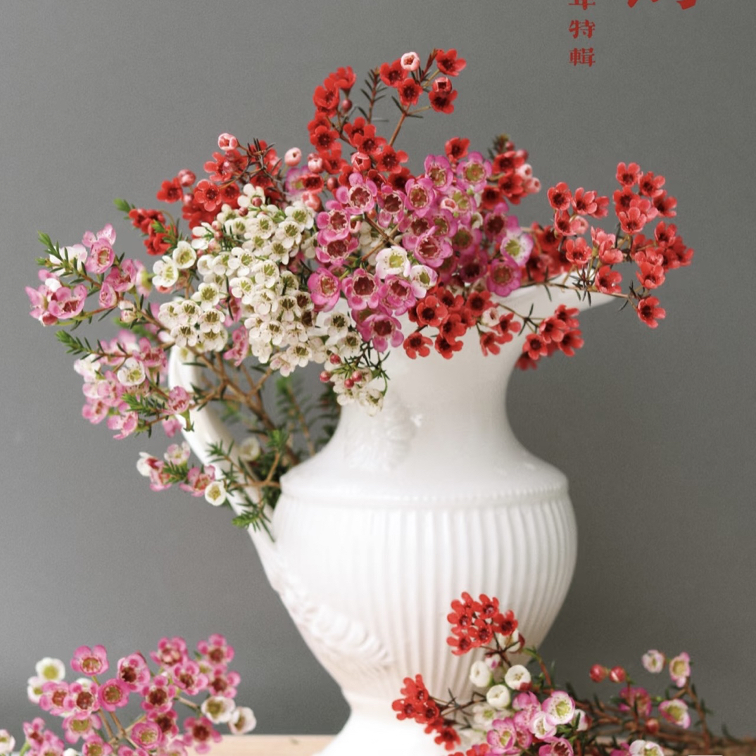 【腊梅】全场任意两单顺丰冷链包邮，0度以下必拍保温棉！