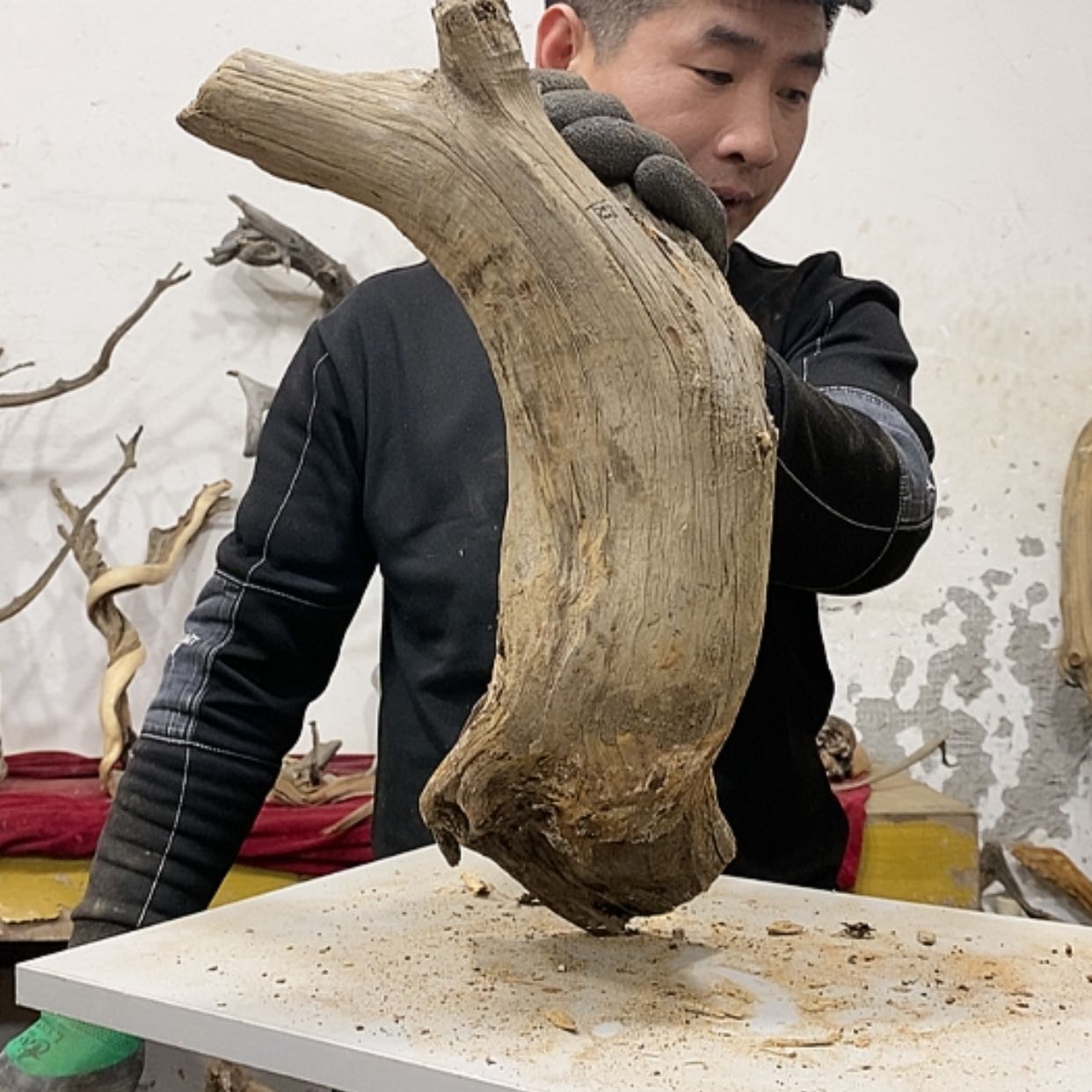 【闪购商品】柏木小*～我们都是好孩子