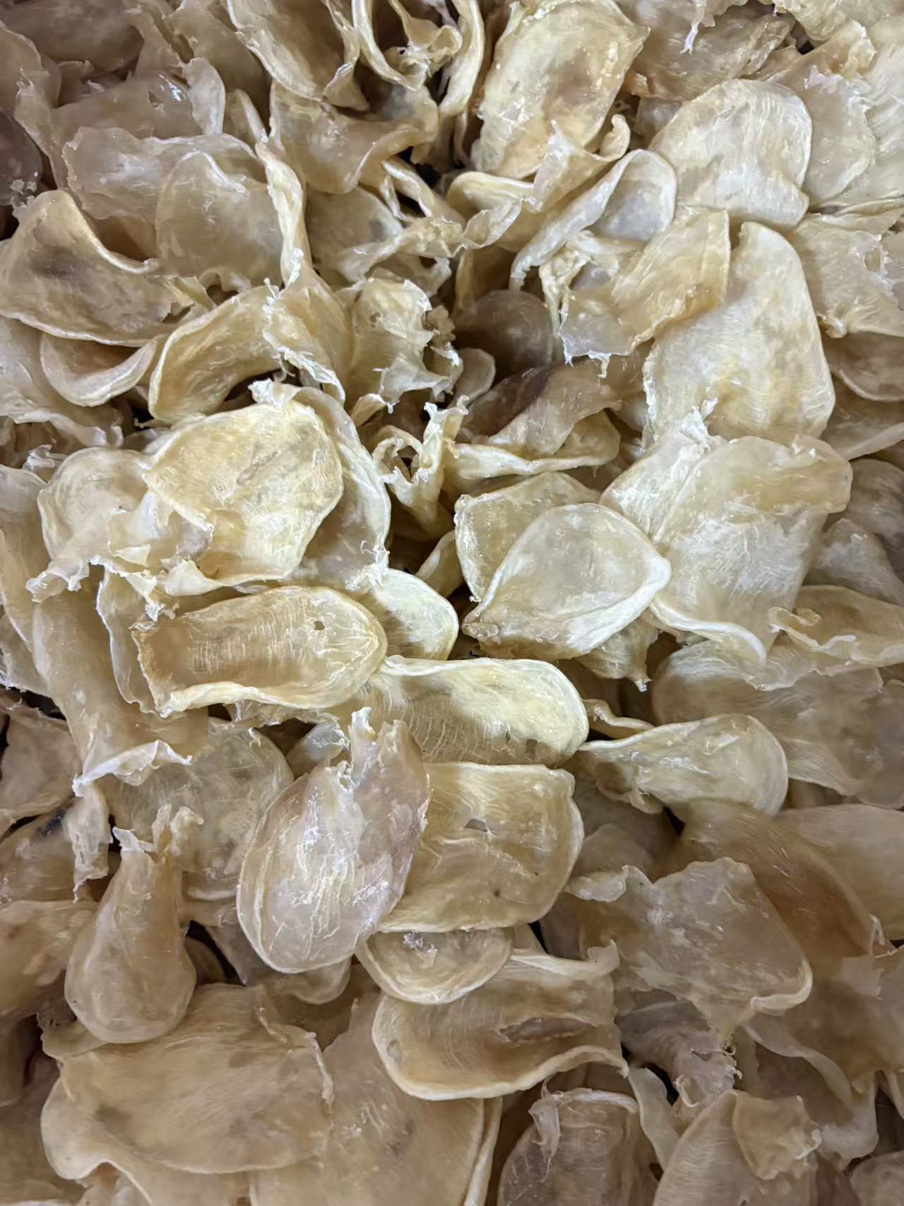 【唐总精选】珍珠花胶。。  鱼胶