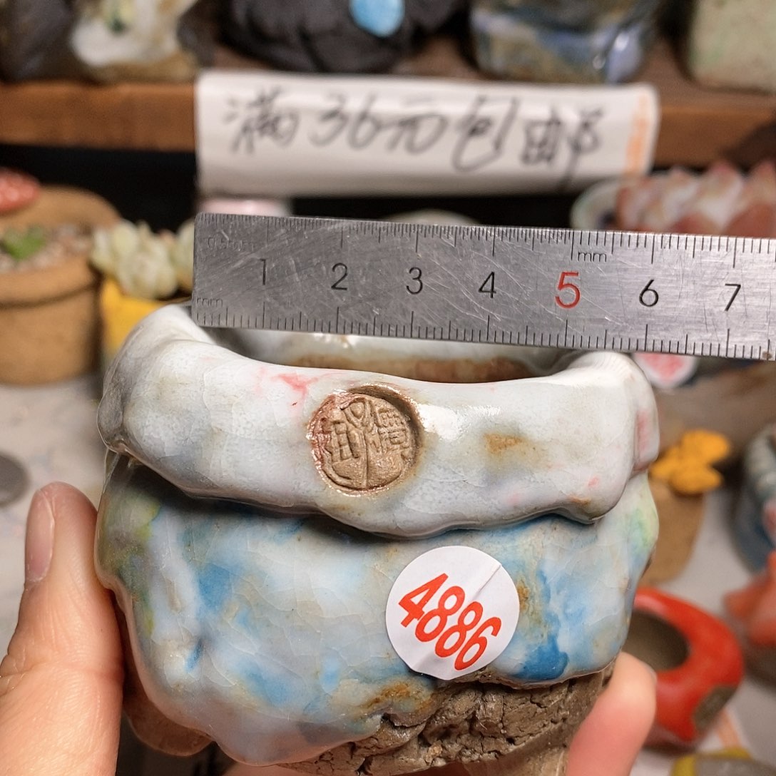 红陶拍5送一个小