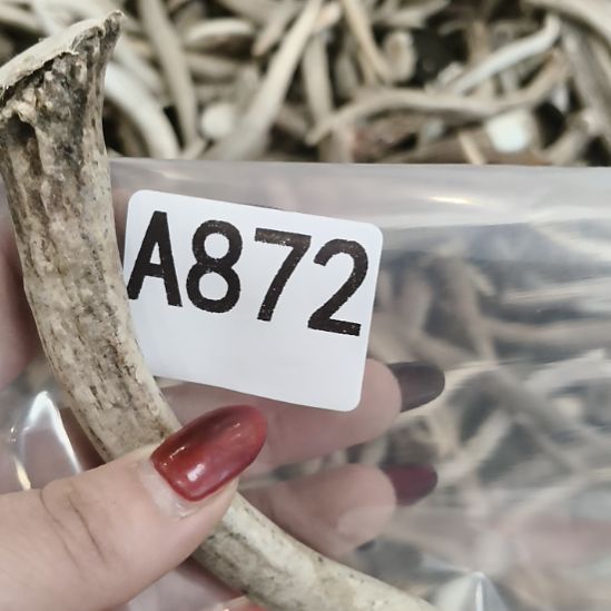 林****鹿角鹿角鹿角鹿角鹿角鹿角