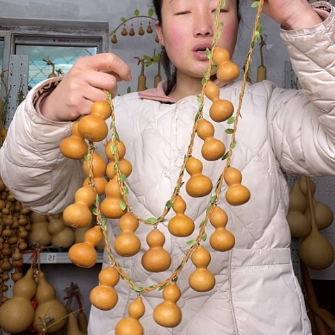 天然植物葫芦文玩