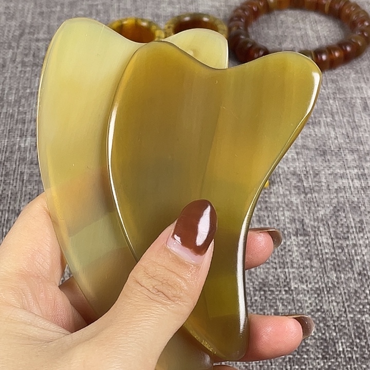 大果紫檀（缅甸花梨）