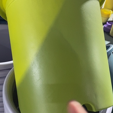 树脂四季7号果绿无托6个特价