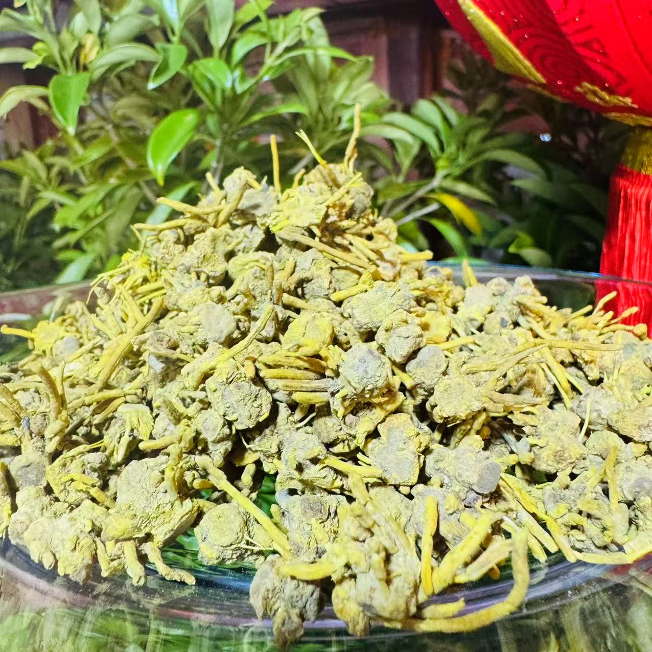 1【龙-须-石-斛】净含量250g-1000g【阿忠现收】