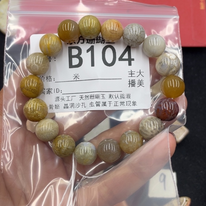硅化珊瑚（珊瑚玉）颈饰合金