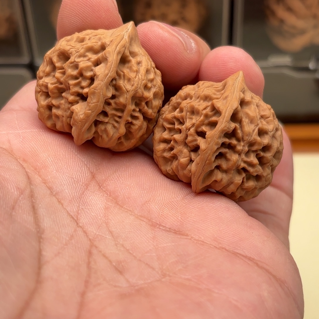 文玩核桃把件太行龙纹