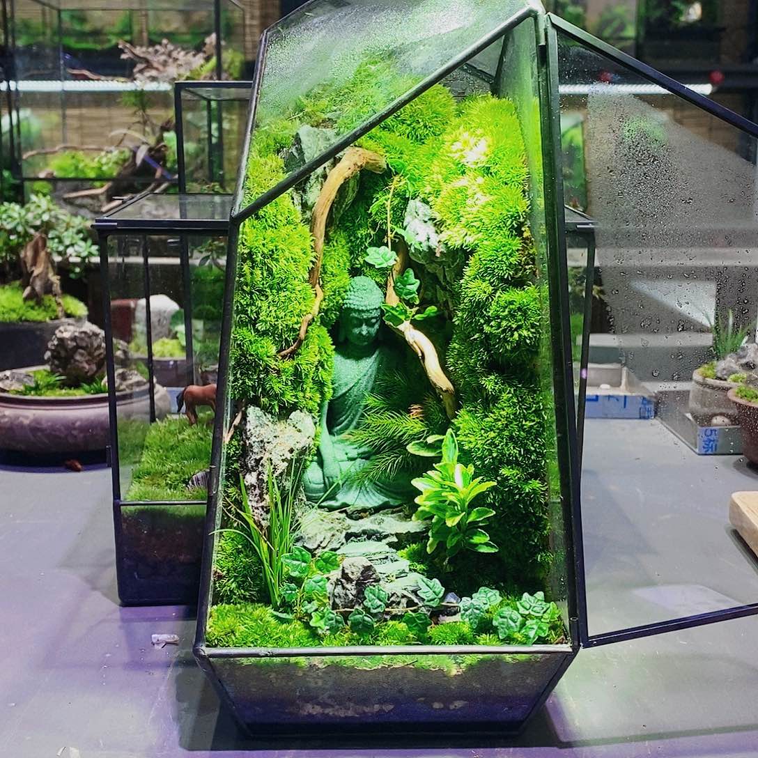 无花朵玻璃花房微景观