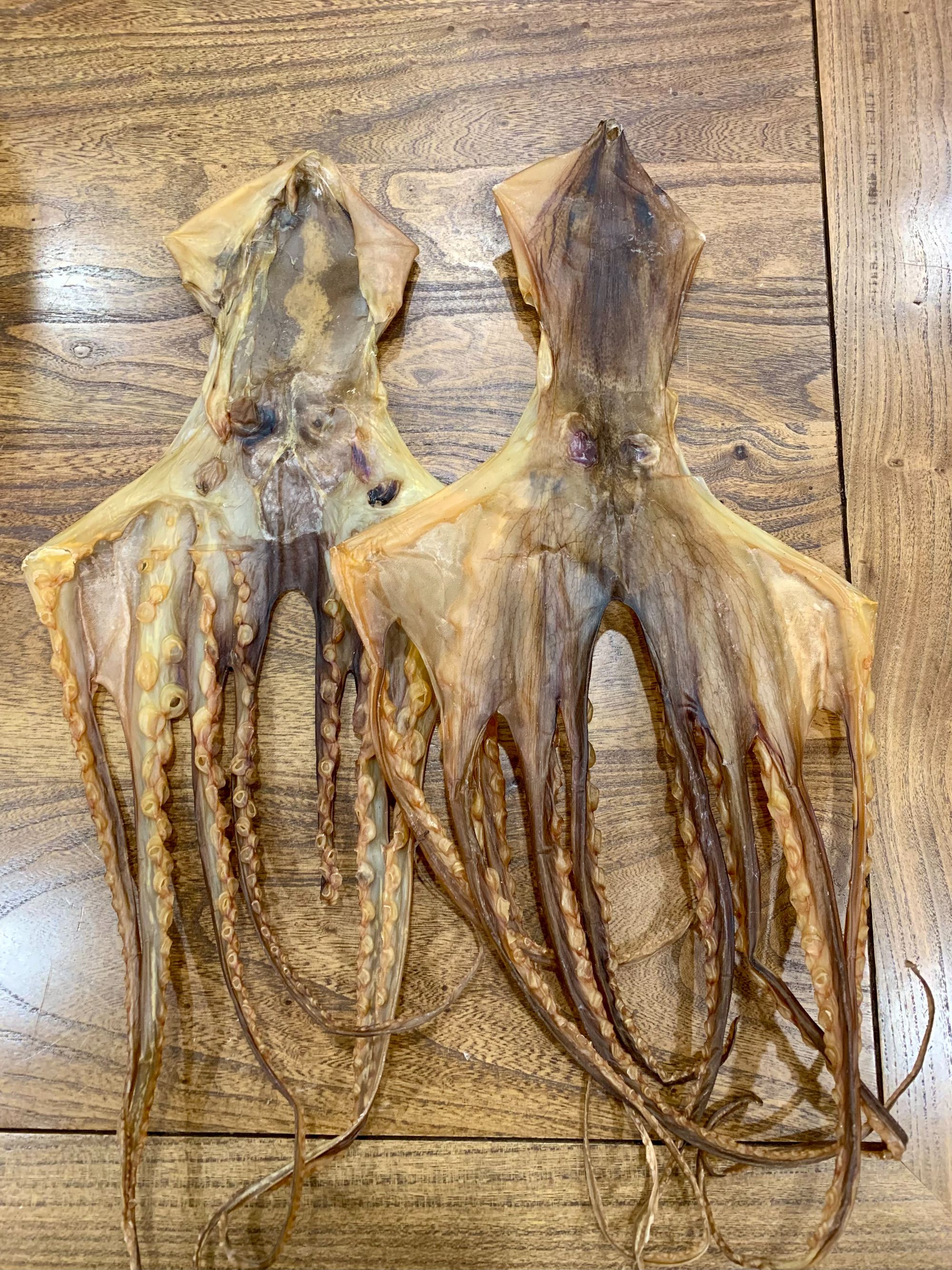 章鱼干 特大 足干 纯淡干