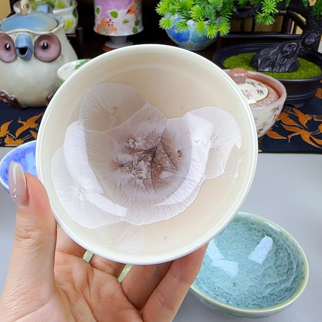 它家陶瓷太美啦！6