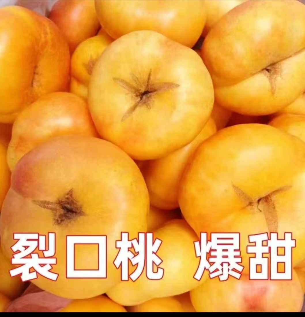山东蒙阴彩虹油蟠桃高疵果开口正常多汁新鲜水果