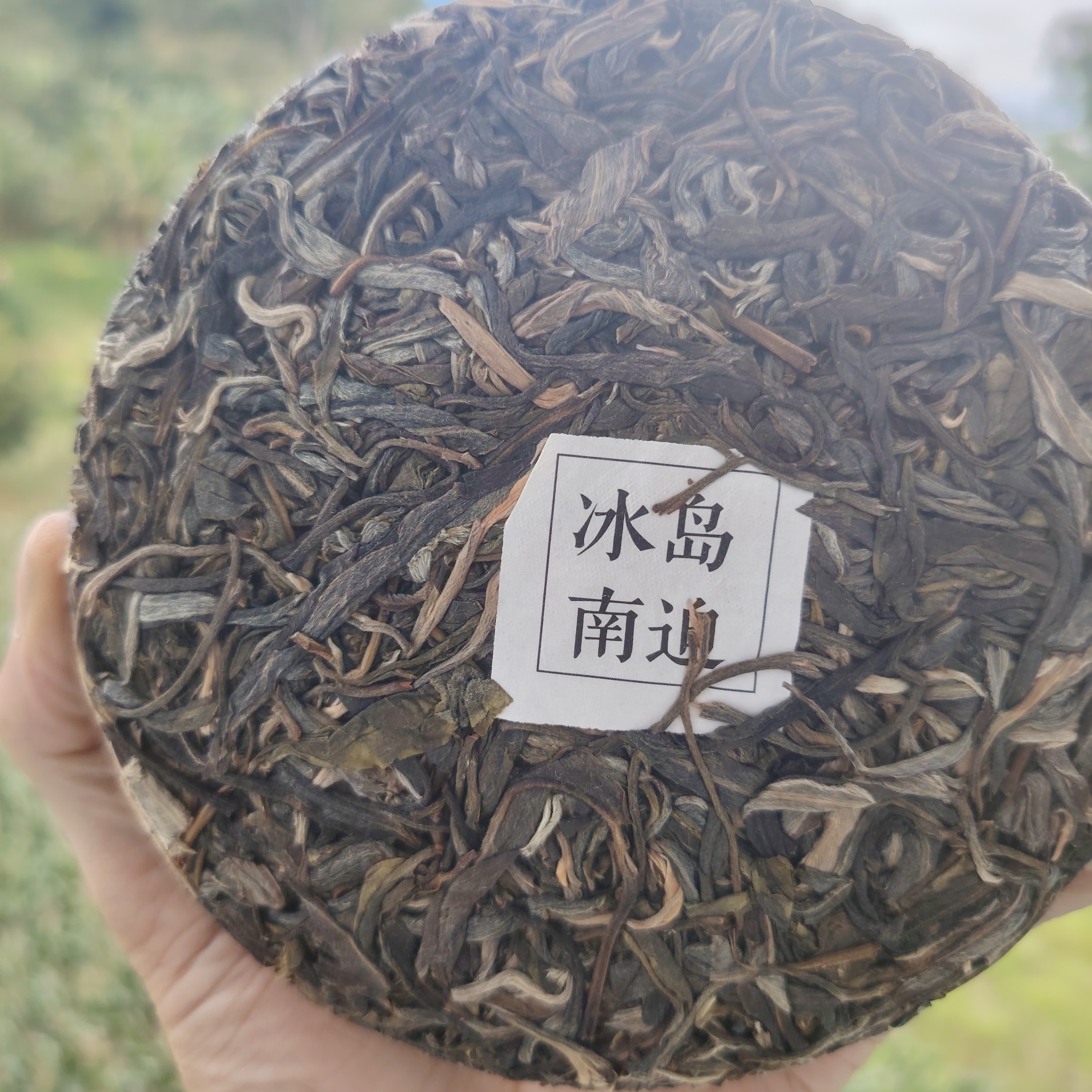 冰岛南迫（勐库）生津快回甜猛