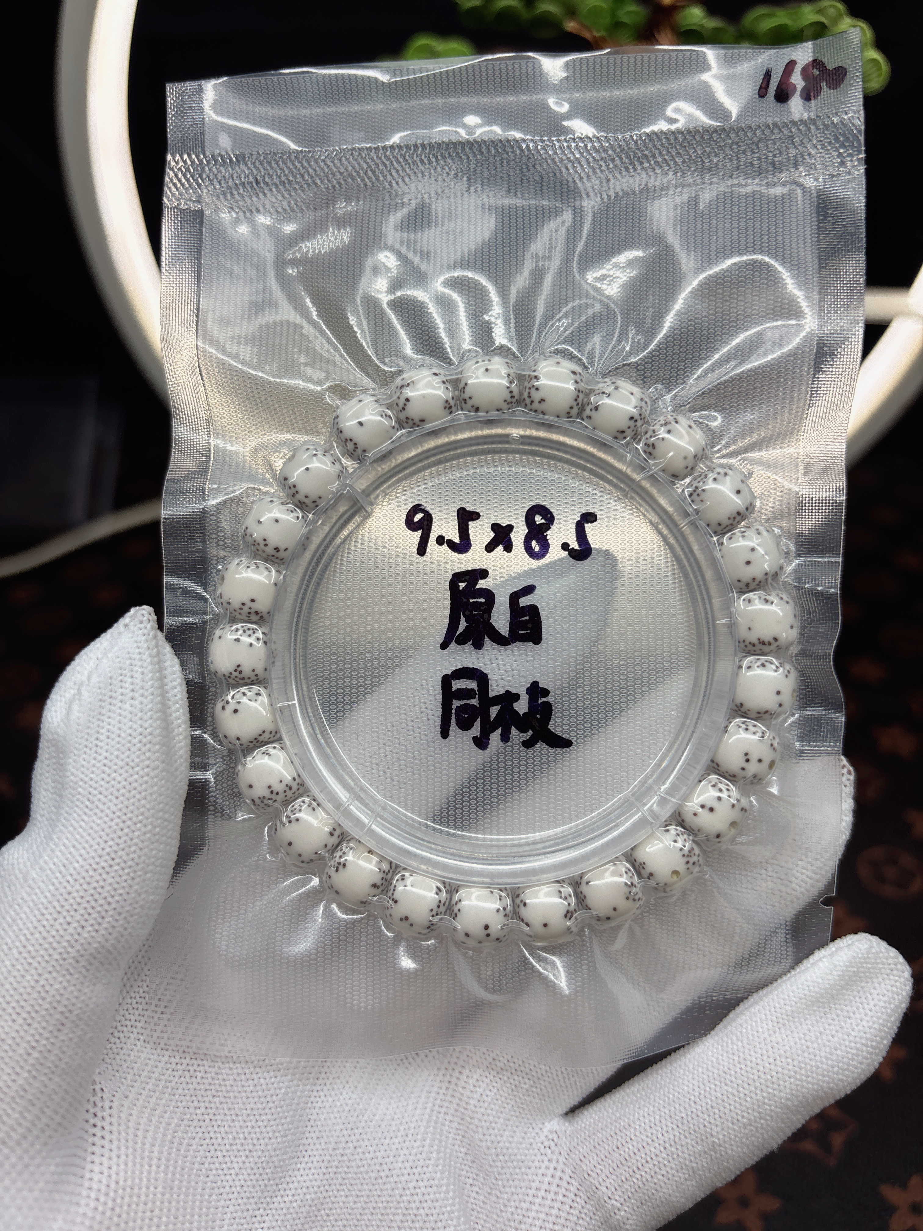 贯通留白！海南料原生态星月菩提9.5×8.5月侧贯通无烟花针尖星