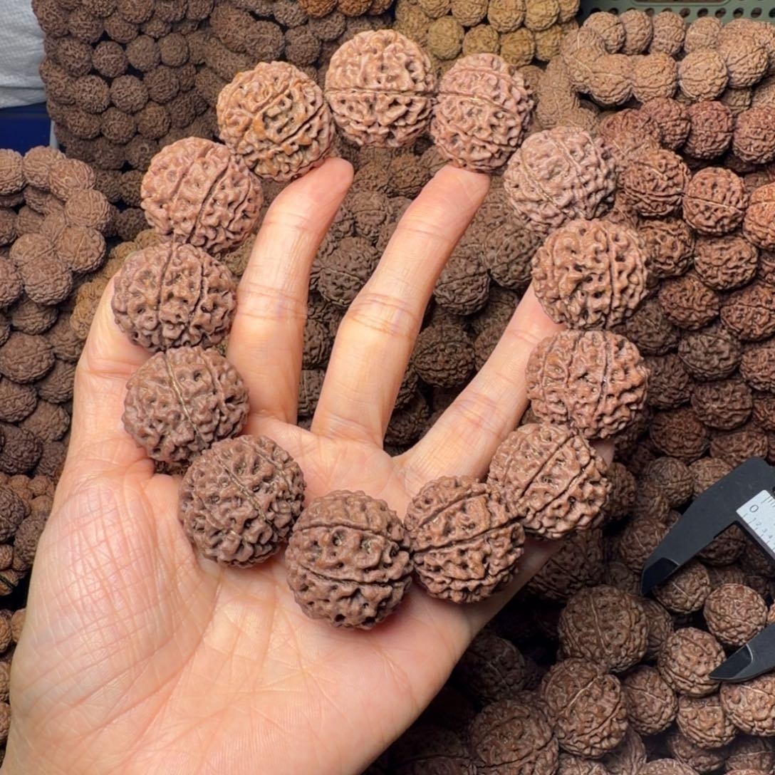 金刚菩提手串9瓣卡28尺，45号