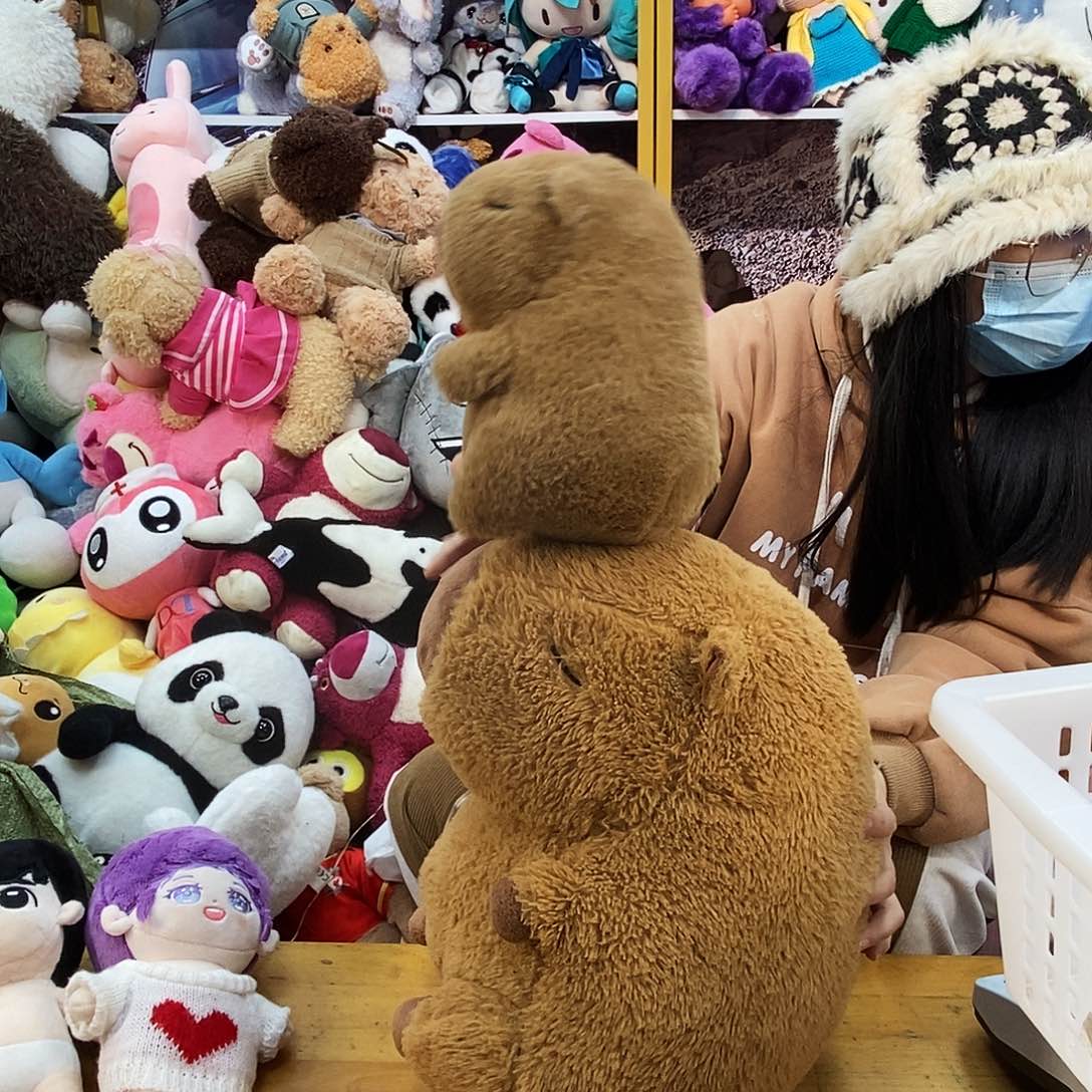 毛绒周*毛绒玩具221