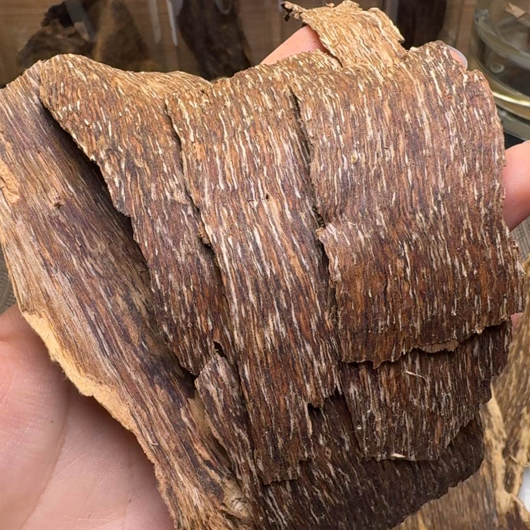 木海南大山青桂香10.6克